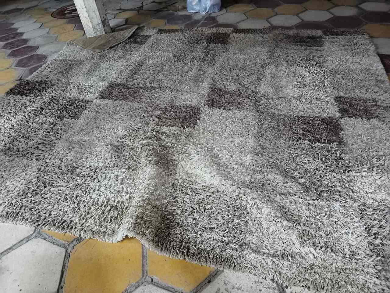 سجاد جديد • الناصريه