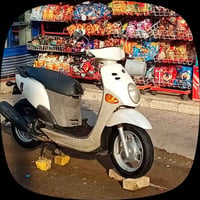 دراجة فلة للبيع لون ابيض صدفي دراجة عوزهة ويل امامي فقط  ولباقي مكفولة...