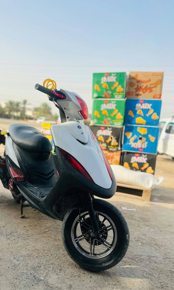 ماكس عدلة • بوشه ٥٥ • فول كهربائيات