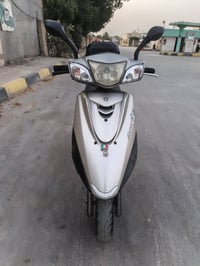 بريز ببغاء • مقفوله • كفاله عامه