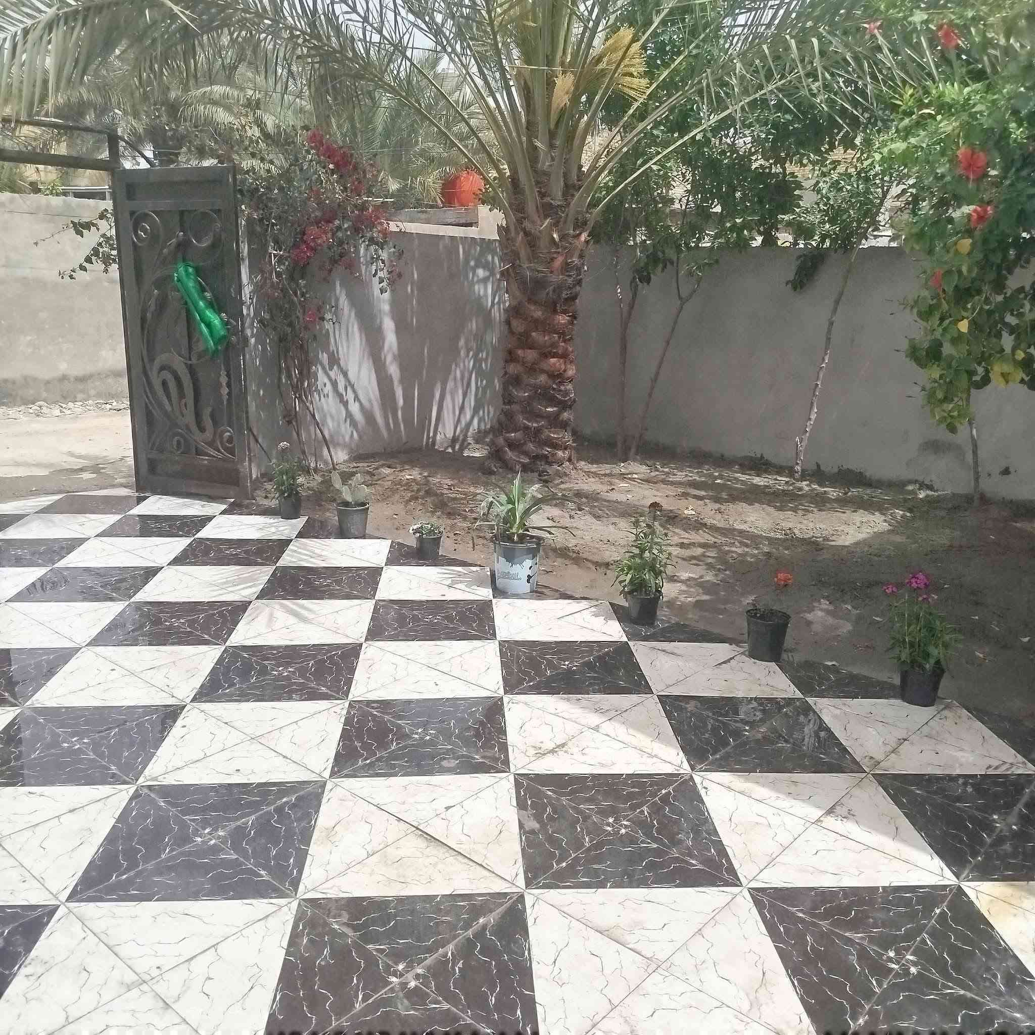 بيت للبيع بلاش بلاش بلاش المساحة 300م في منطقة الطهمازية قرب مركز شرطة سيف سعد على الروائي الكبير يبعد عن الشارع العام 200م
السلام عليكم بيت للبيع يحتوي البيت على 3 غرف كيندور استقبال مطبخ صحيات داخلية وخارجية وحديقة وكراج سيارة ومخزن خارجي  متوفرة كافة الخدمات ماء كهرباء تبليط 
السعر بلاش 80 مليون 
للاستفسار ***********
