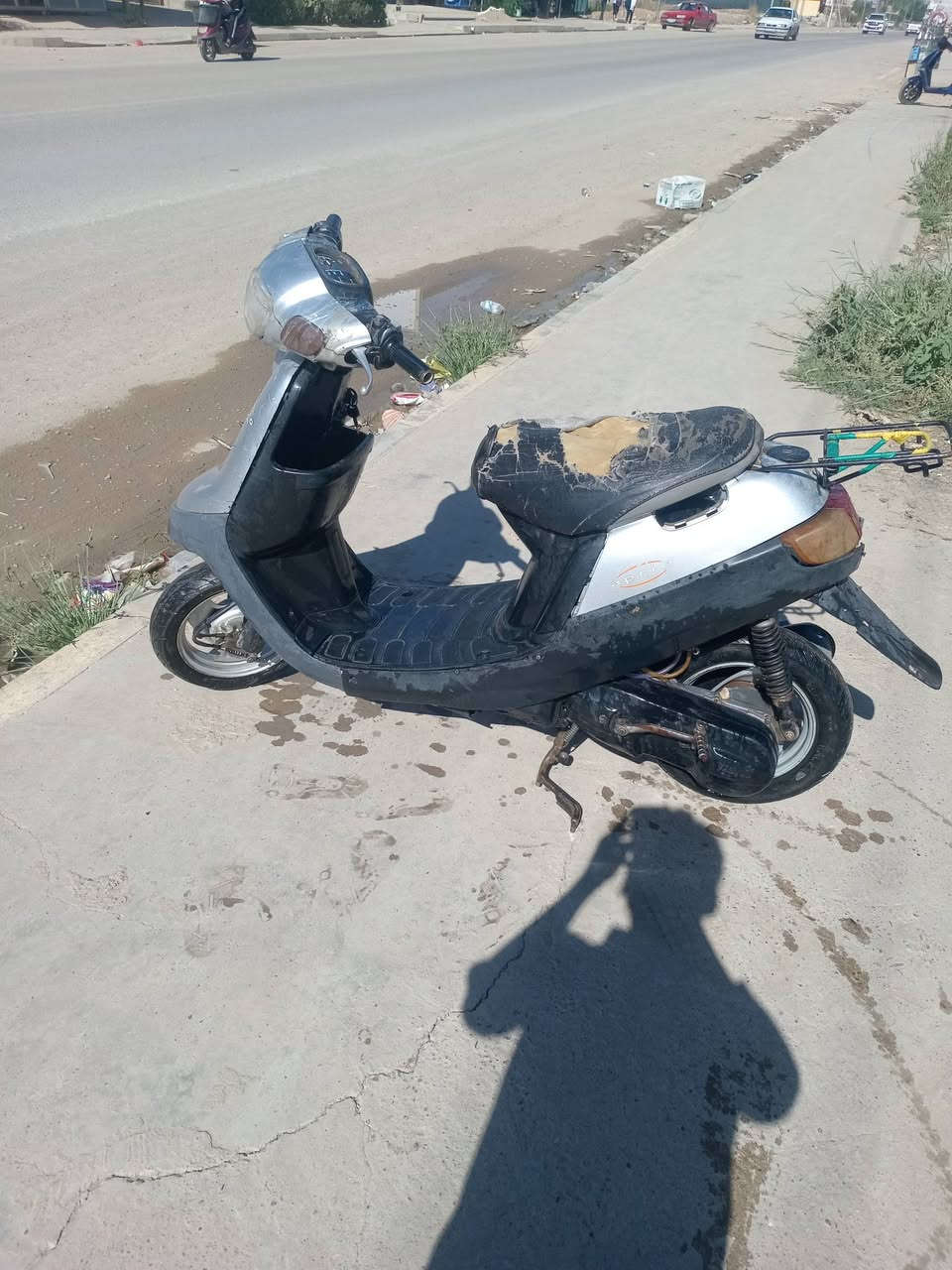فول • نضيف • معدل