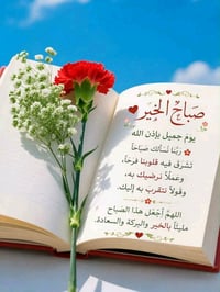 منطقة جكوك مقابل الباله • ١٥٠م • غرفتين