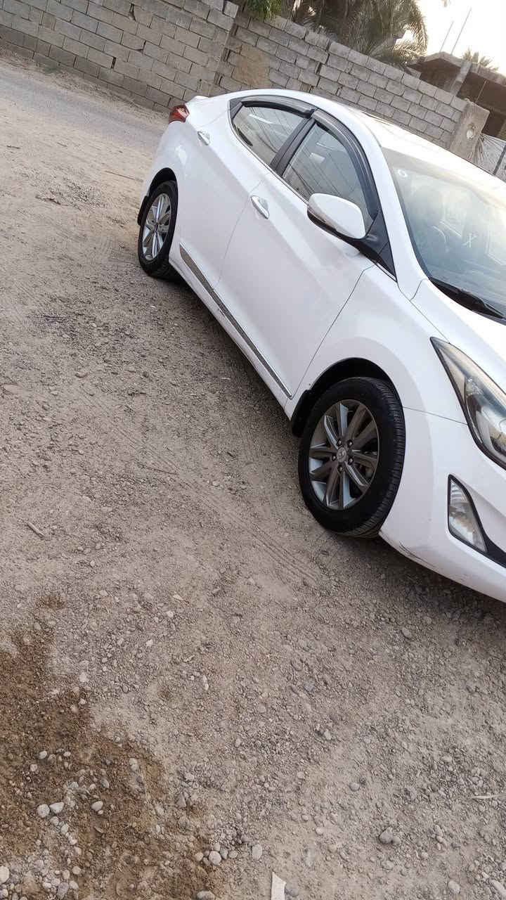 النترا • ٢٠١٥ • كفالة عام