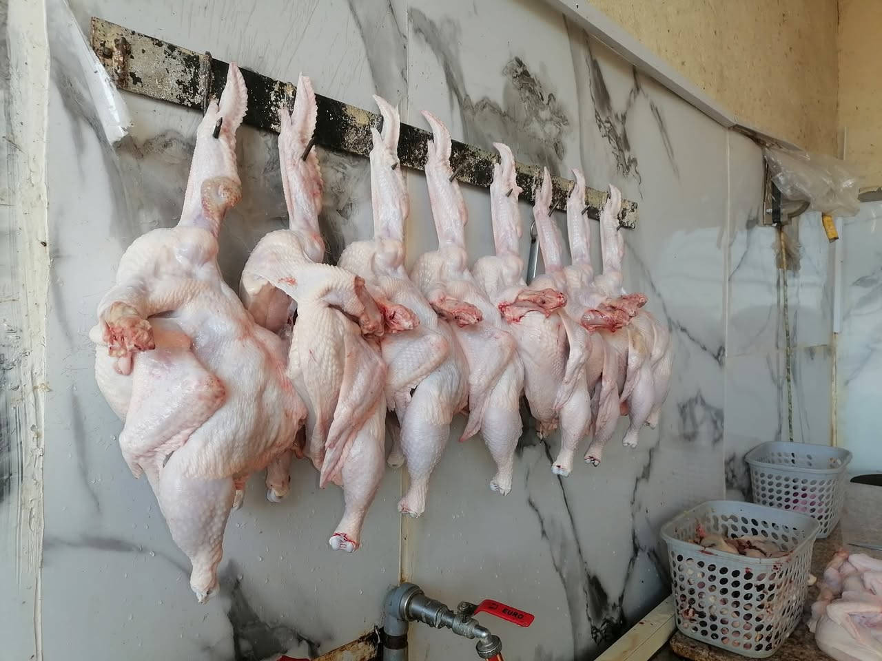 دجاج حي • توصيل • ابو جوعانه