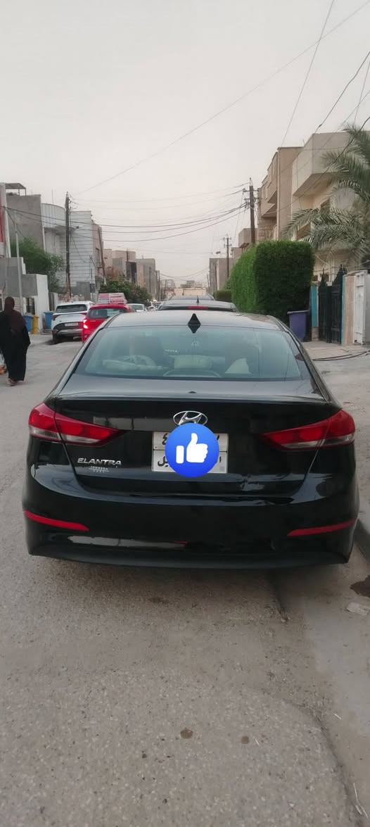 النترا • ٢٠١٧ • رقم اربيل