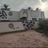 أم عباسيات • ٣٠٠م • نخل ٥٠