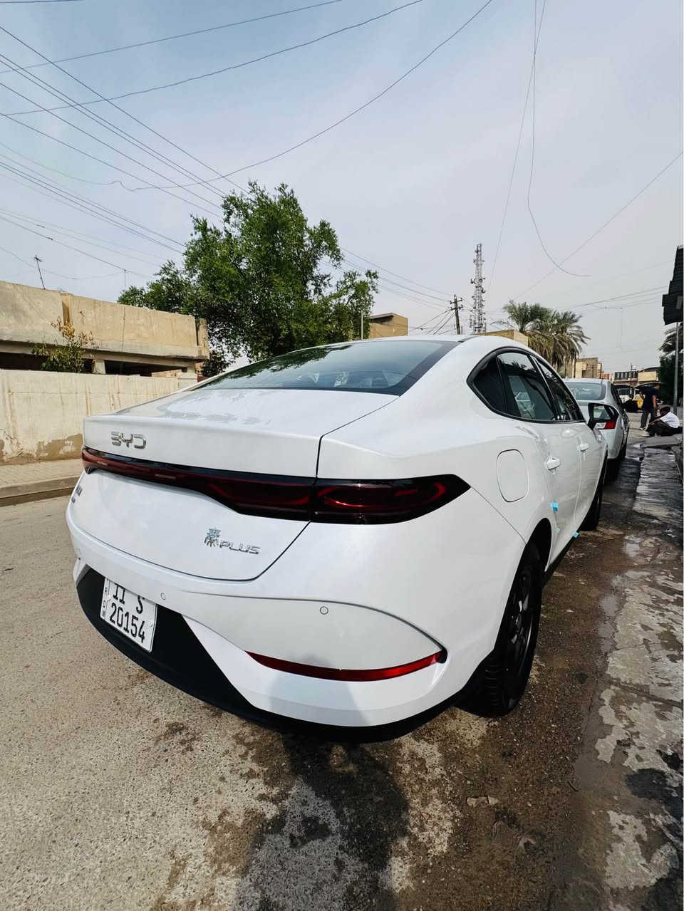 داخل زيتوني • جلد • ٢٠٢٥