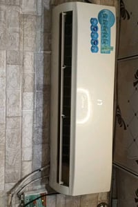 طن ونص • ديالى • واتساب