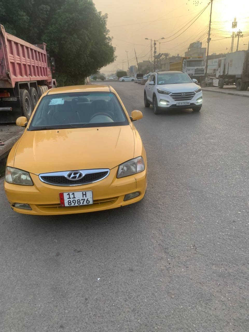 فيرنا • ٢٠١٥ • مرشوش