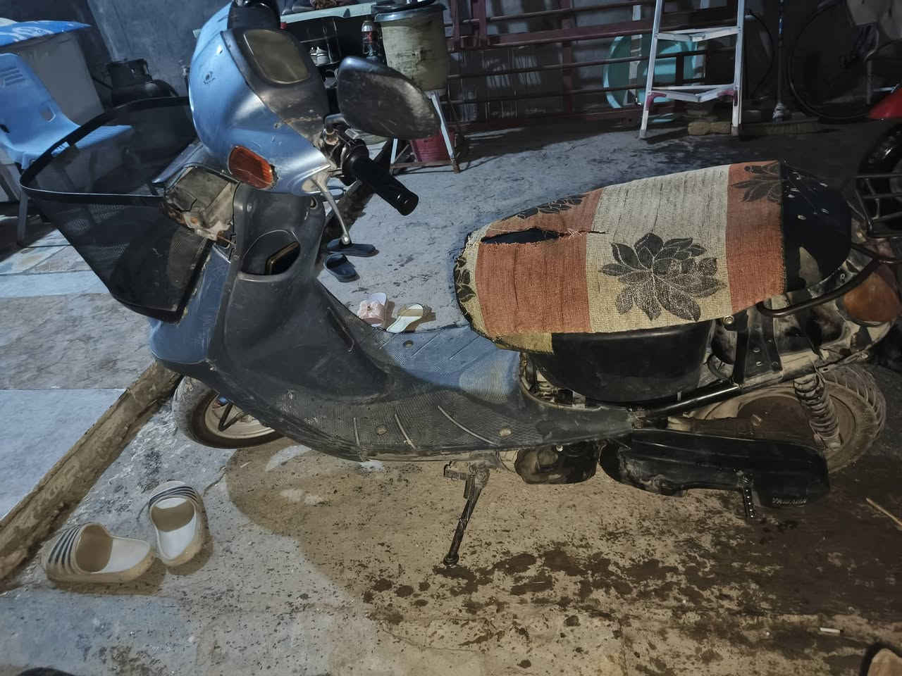 من رخصت الادمن منغولي للبيع أي نقص مابيها كفراتها كامله تجفيت أصلي بيع مستعجل ب 300 وبيها مجال حك الجيه الرقم:***********
