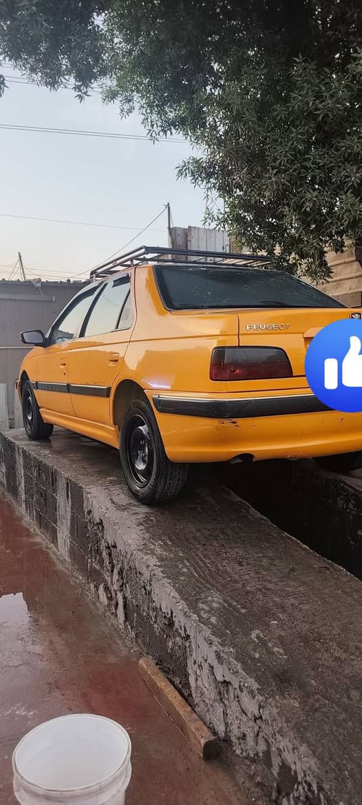 بيجو بارس • ٢٠٢٤ • مكفولة