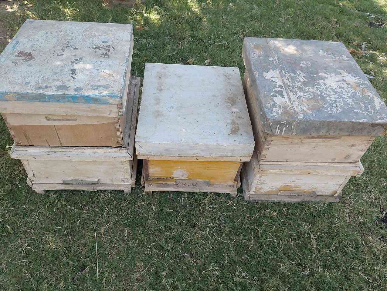 سلام عليكم بيوت نحل مثل ماموضح كدامكم بل صور يطارات 30فارغات 8نضاف صناديك 3قاطين 2مستخدمات ابيع شلع كلهن ب100الف وبيهن مجال اتصال على رقم ***********

