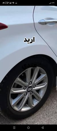 ويل وتاير • مراوس بويل كب • دوره هورجب