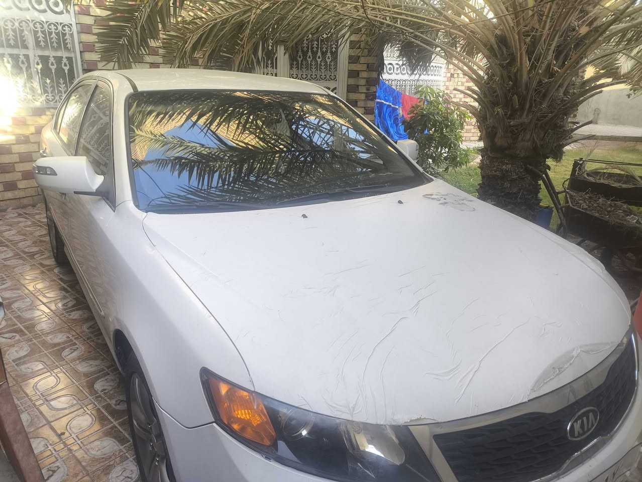 اوبتما ٢٠١٠ • غاز • نجف