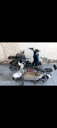 ٤ شاحنات • ٥ شغالات • واحدة شغالة