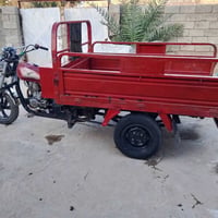 ستوته فحل • ٢٠١٤ • شاصي مكفول