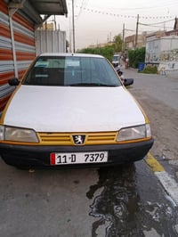 بيجو بارس • ٢٠٠٩ • بدون صبغ