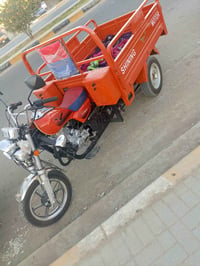 ستوته • ٢٦ • صولي