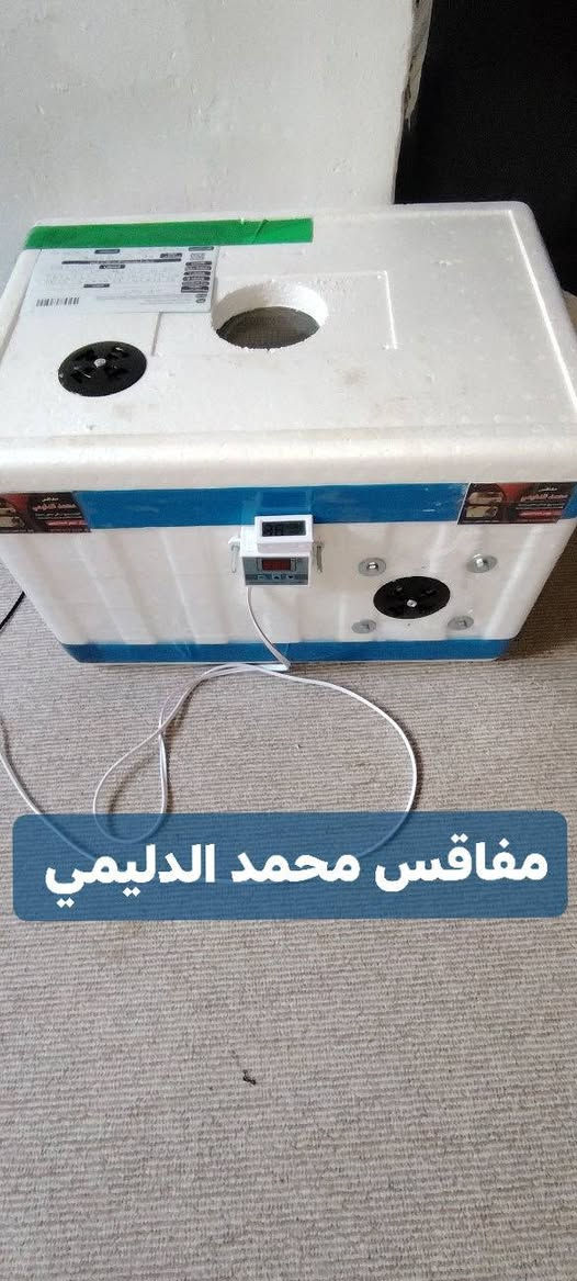 (مفاقس محمد الدليمي)،
فقاسات مصنوعة من مادة الفلين المعزولة للحفاظ على درجة الحرارة المناسبة لتفقيس البيض.

🔹 المواصفات الأساسية:

✅ صناعة محلية بجودة عالية

✅ مزودة بجهاز رقمي للتحكم بدرجة الحرارة

✅ توفير استهلاك الكهرباء

✅ مناسبة لتفقيس بيض الدجاج والطيور الأخرى

✅ سعة مختلفة حسب الطلب

🔹 مميزات المنتج:

سهولة الاستخدام

دقة في ضبط الحرارة

عزل حراري ممتاز

تصميم عملي وخفيف الوزن

يتوفر توصيل جميع محافظات العراق🇮🇶

📞 للحجز أو الاستفسار، تواصل معنا عبر الرسائل أو الاتصال المباشر *********** واتساب
 #العراق #فقاسات #افراخ #مفاقس

نص مكتوب في الصور:
- مفاقس محمد الدليمي
