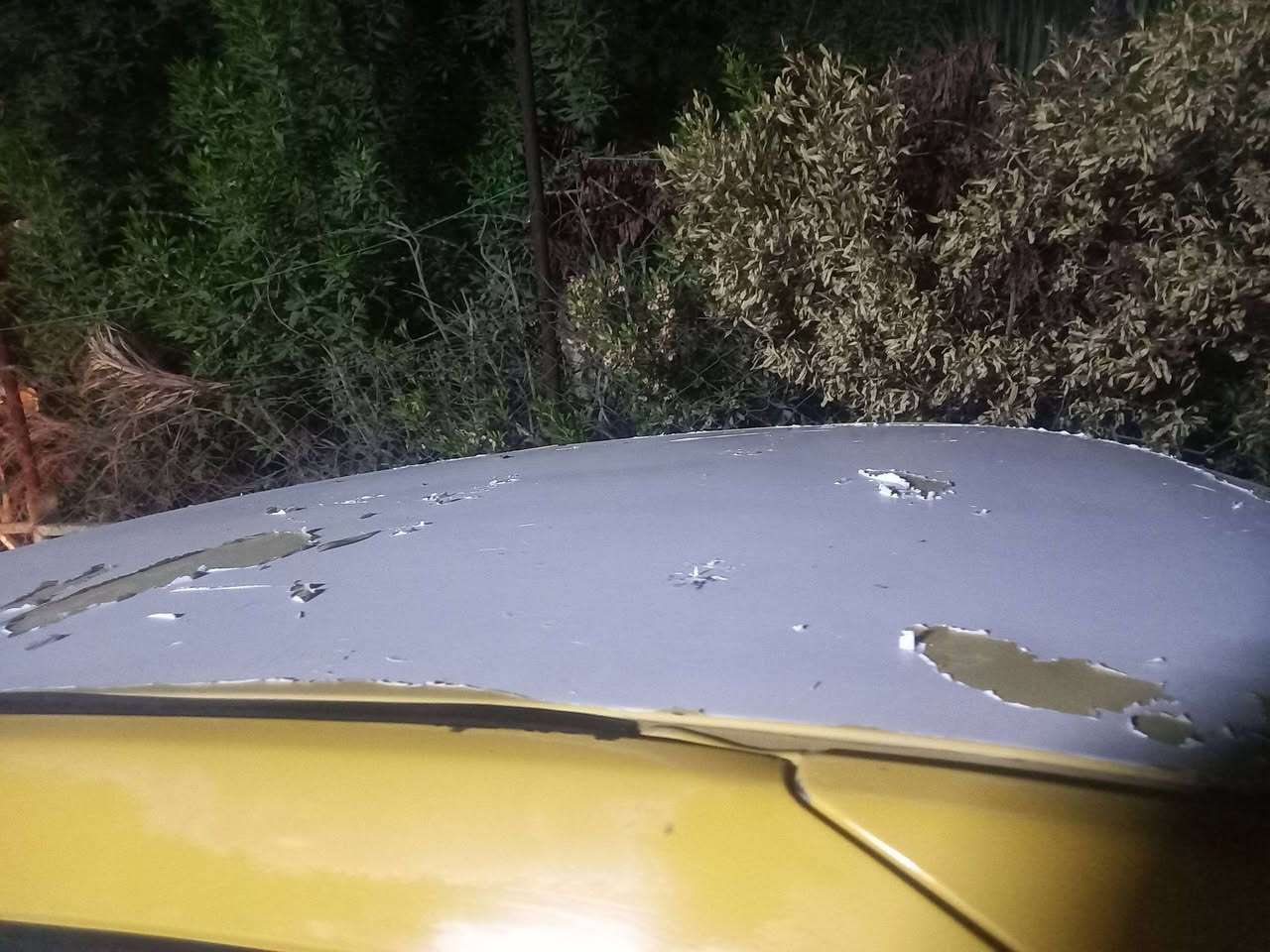 السلام عليكم
رينو موديل 9 محرك كير كورلا بيكاجو بس تحوير كلف 12ورقه

بيه طخطخات قليله منضومه تبريدكامله شتغل خذله فتره وكف ماسويته تبديل جاملغ الايسر سياره باسم اخوي

سنويه 28 تنتهي 

السعر35

***********

مكاني بغداد الدولعي
