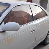 مارك نفخ • ١٩٩٥ • الزبير