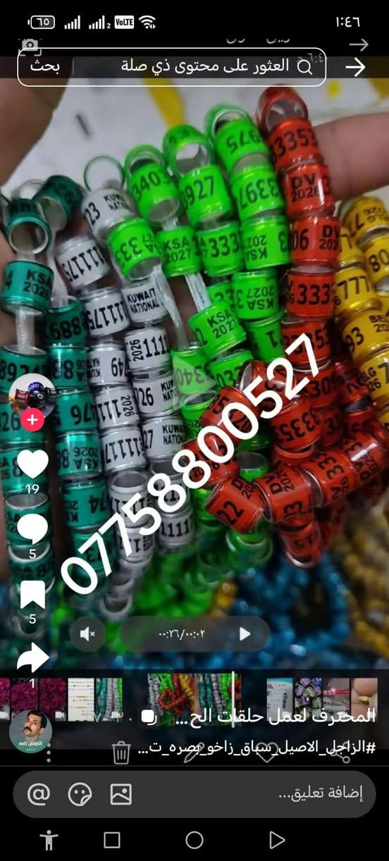 حجل طيرك وبسعار تنافسيه وشغل مضمون 👇❤️ حجول  وتوصيل لكل العراق والخبره بلعمل
من رخصت لمشرفين تريد حجل اصلي  ❤️ يوجد لدينا كل ماهو جديد عمل جميع  انواع حجول رابطه ستندر بنواعها حمام اللوت والزاجل والرافل والحمر وتور تيدي وطيور الزينه وباقي الطيور  بكافة انواعها  المغرد جاوه وبلابل  وفجانس وكناري وبادجي هاجرمو  وكوكتيل والدره وغندور وروز والحمام الملكي  ودجاج ومختلف النوعيات الالوان والموديلات حسب طلب الزبون الحجول والقياسيات موجوده بنواعها وتلبيس لطيور الكبار موجود حسب الطلب
الموثق والمفتوح وقراصات و المنيوم مفتوح الشغل درجة أولى حفر ليزر وحجول  والطيور بانواعها ملاحظه يوجد لدينا حجول زينه تراجي وحجل جرس خرخاشه واشرات وباقي الحجول بنواعها لكافه لطيور توجد خدمه توصيل لباب لبيت لجميع المحافظات العراق 🚕🚕 بسعر مناسب جدا للحجز مراسلة الصفحه او واتساب📱📞او الاتصال علئ الرقم او وتساب ملاحظه خبره بلعمل أكثر من 10 سنوات احذر التقليد 😍 لاتنسه لايك ومتابعه للحساب هدفنا تطوير الهوايه ولطيور لتعارف 😘 

***********
***********
