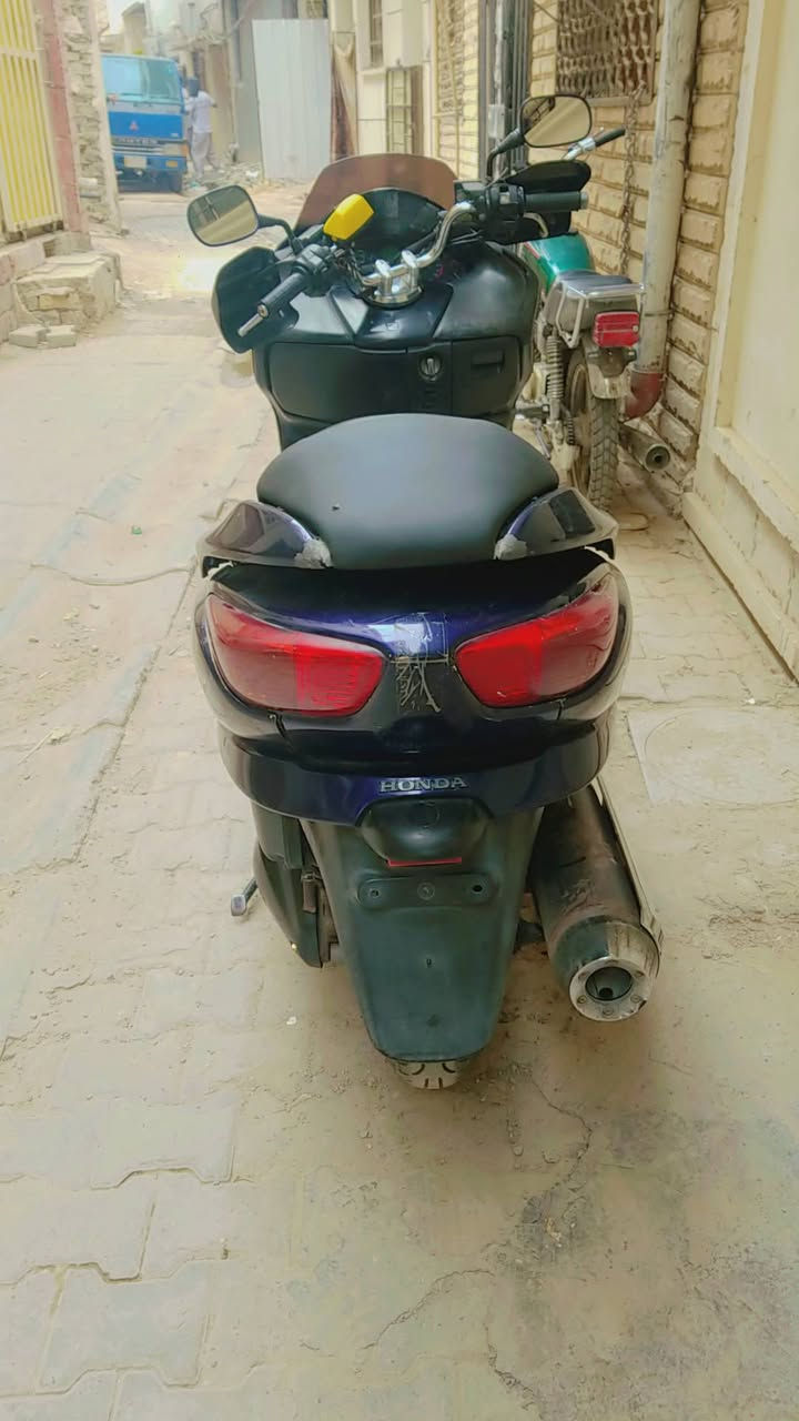 فورزه • بصمه • اوراق كامله
