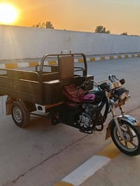 ستوته • ٢٠٢٢ • اوراق كامله