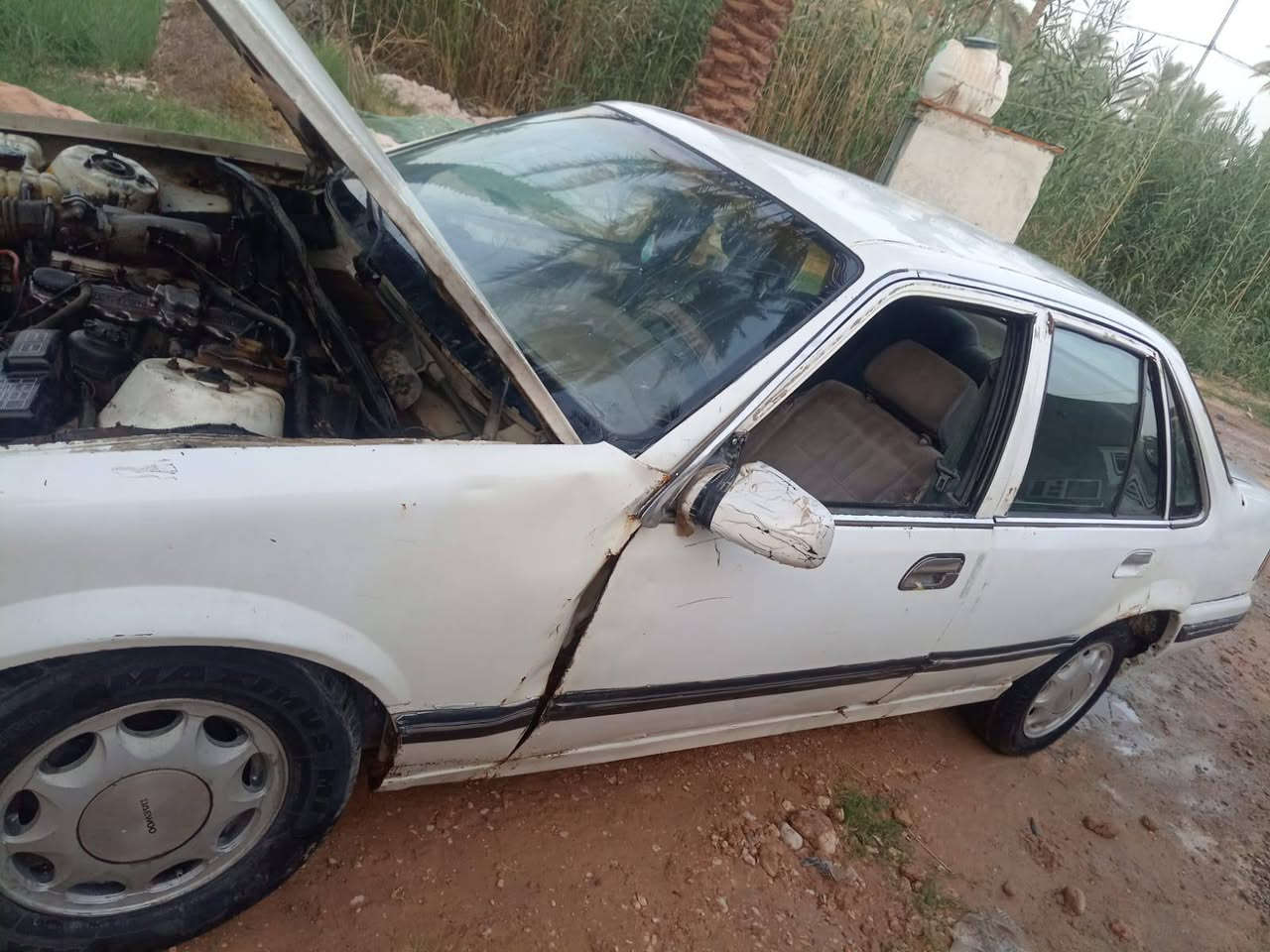 سلام عليكم دايوه ابرنس رقم كربلاء رقم مميز سعر تصقيط 10وراق قفل كير وتماتيك مكفول ولحب يستفسر ينتصل كربلاء قظاء طوريج ***********
