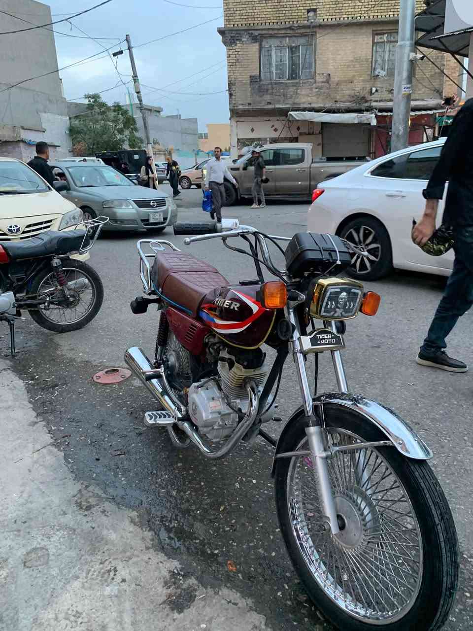 تايگار • ٢٠٢٣ • مرخص