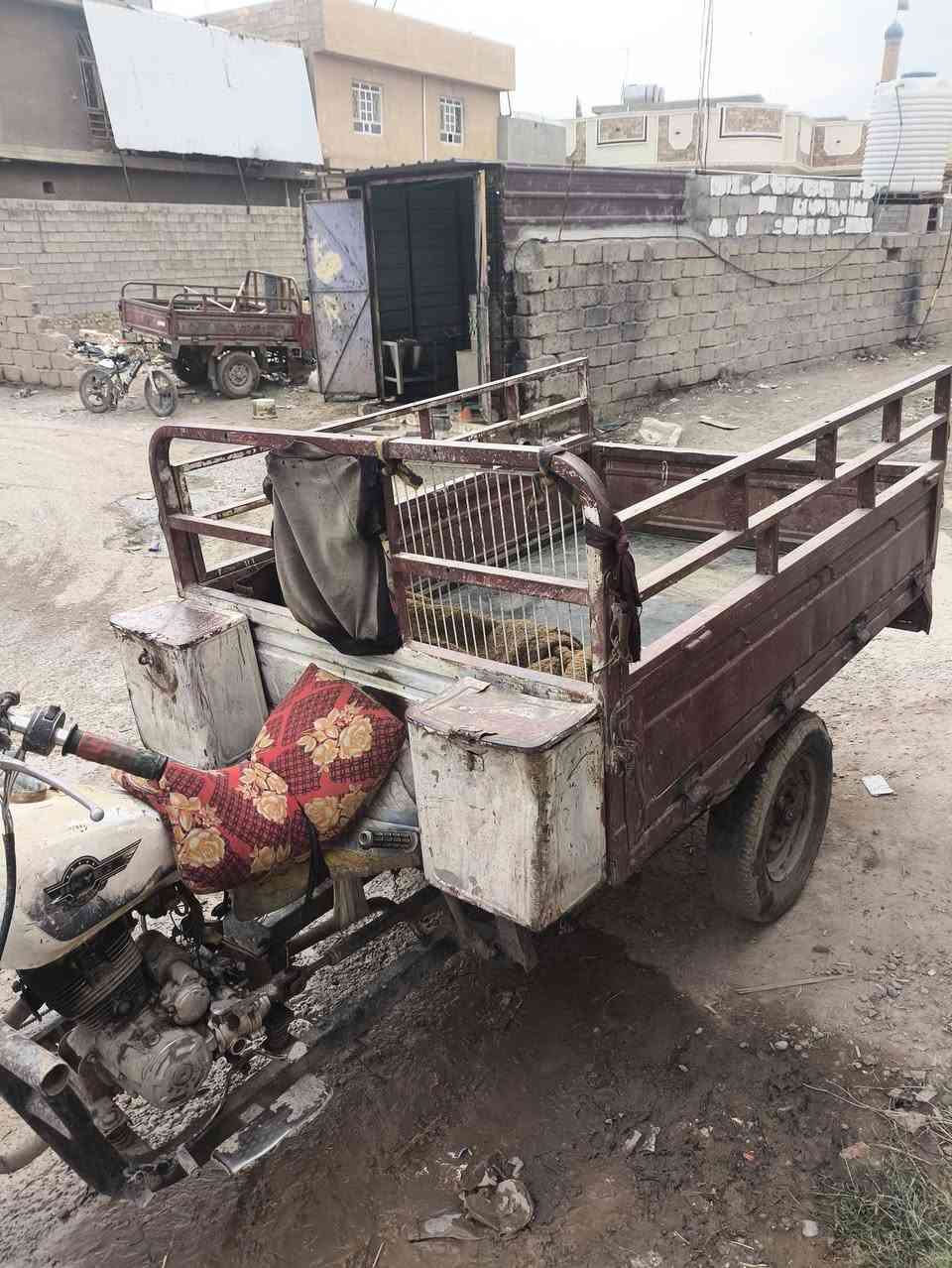 ستوته • اوراق كاملة