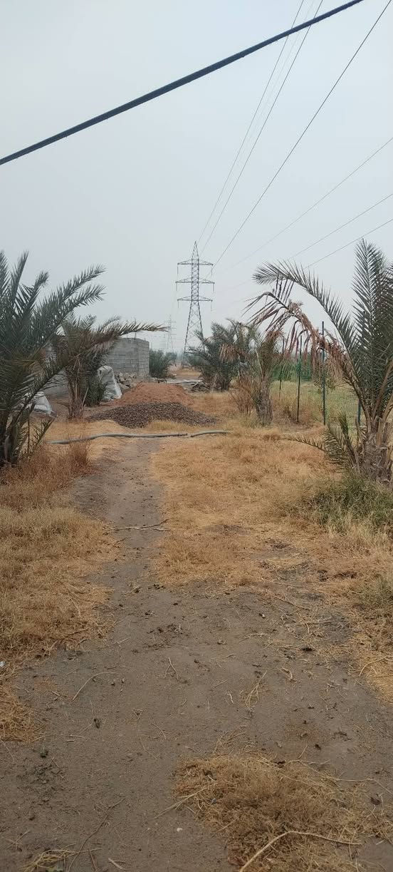 مزرعه • ٢ دونم • طريق يا علي