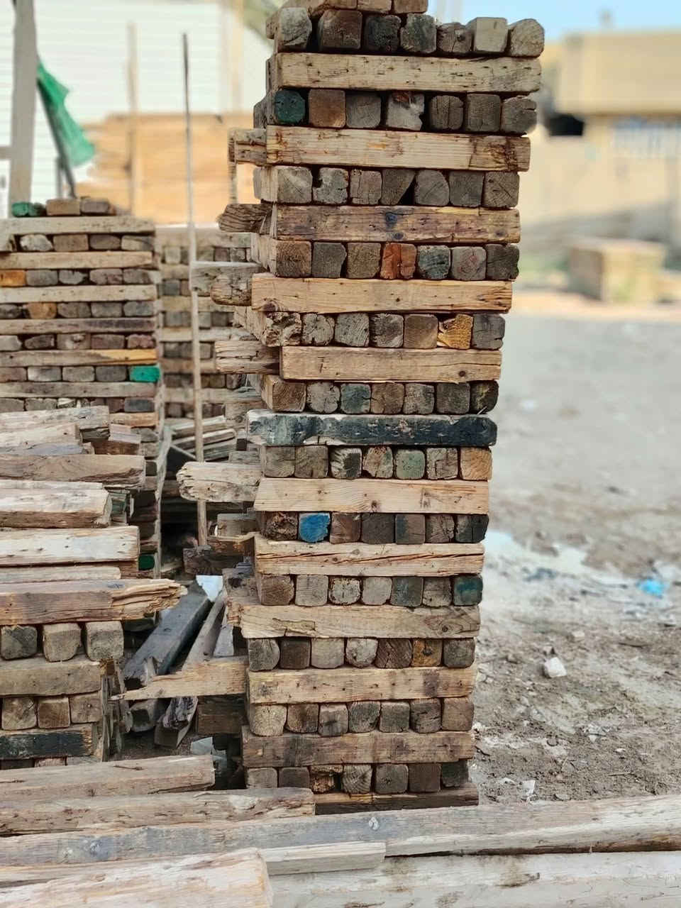 سلام عليكم عصايب طول 1متر  3/3 عصايب طول 50 عصايب طول 1/5 2/4 ***********
