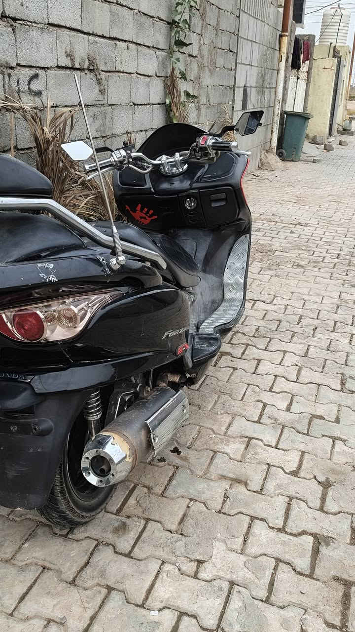 فورزا 09 • جاهزه • اوراق