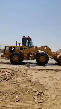 شفل كاوسكي • وارد امريكي • حجم ٨٠