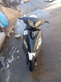 ثعلب • خدم واحد • بلا دخان