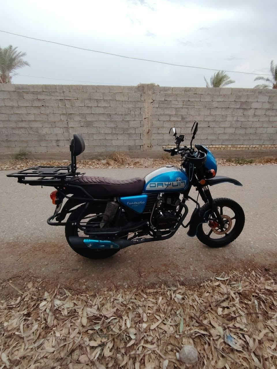دايون جبلي • ٢٠٢٦ • ممشى ١٤٠٠٠