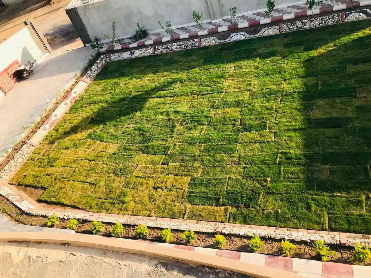 ديكورات • حسب الطلب • تيك توك