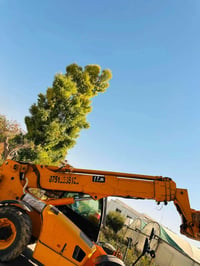 شفل JCB • موديل ٢٠٠٢ • ١٧متر