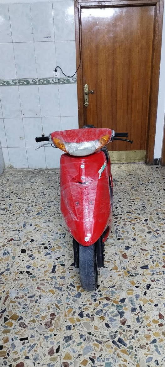 عصفوريه بلاديه سلف هندر السعر 350 وبيها مجال المكان بغداد مدينه الصدر الاستفسار الرقم ***********
