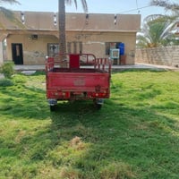 ستوته • موديل ١٧ • أوراق كاملة