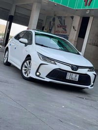 كورله 2024 • كفاله عامه • رقم بغداد
