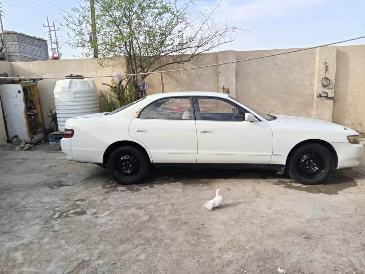 شيزر نفخ للبيع فقط حداده كير محرك ونجي جدد تبريد دواخل حلوه سياره بسمي 45 بيه مجال بسيط  *********** عنواني بصره الهارثه
