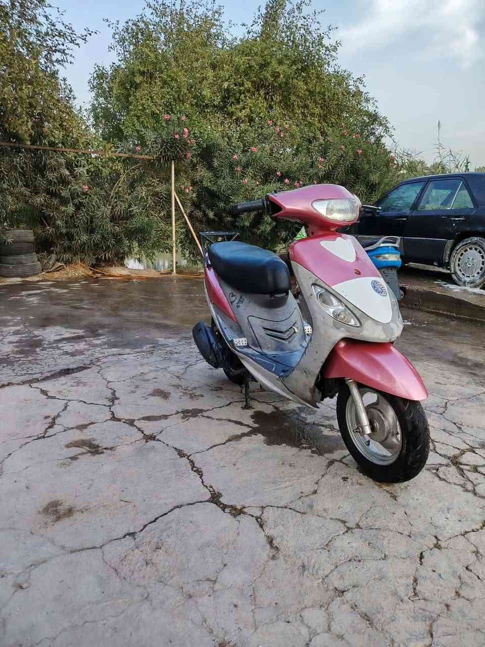 ماكس منغولي • نضيف • مستعجل