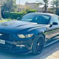 موستنك ايكو بوست • ٢٠١٧ • بغداد
