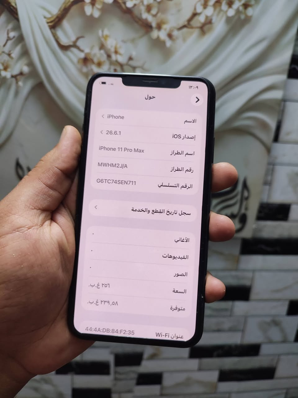 آيفون ١١ برو ماكس • ٢٥٦ • ظهر مضروب