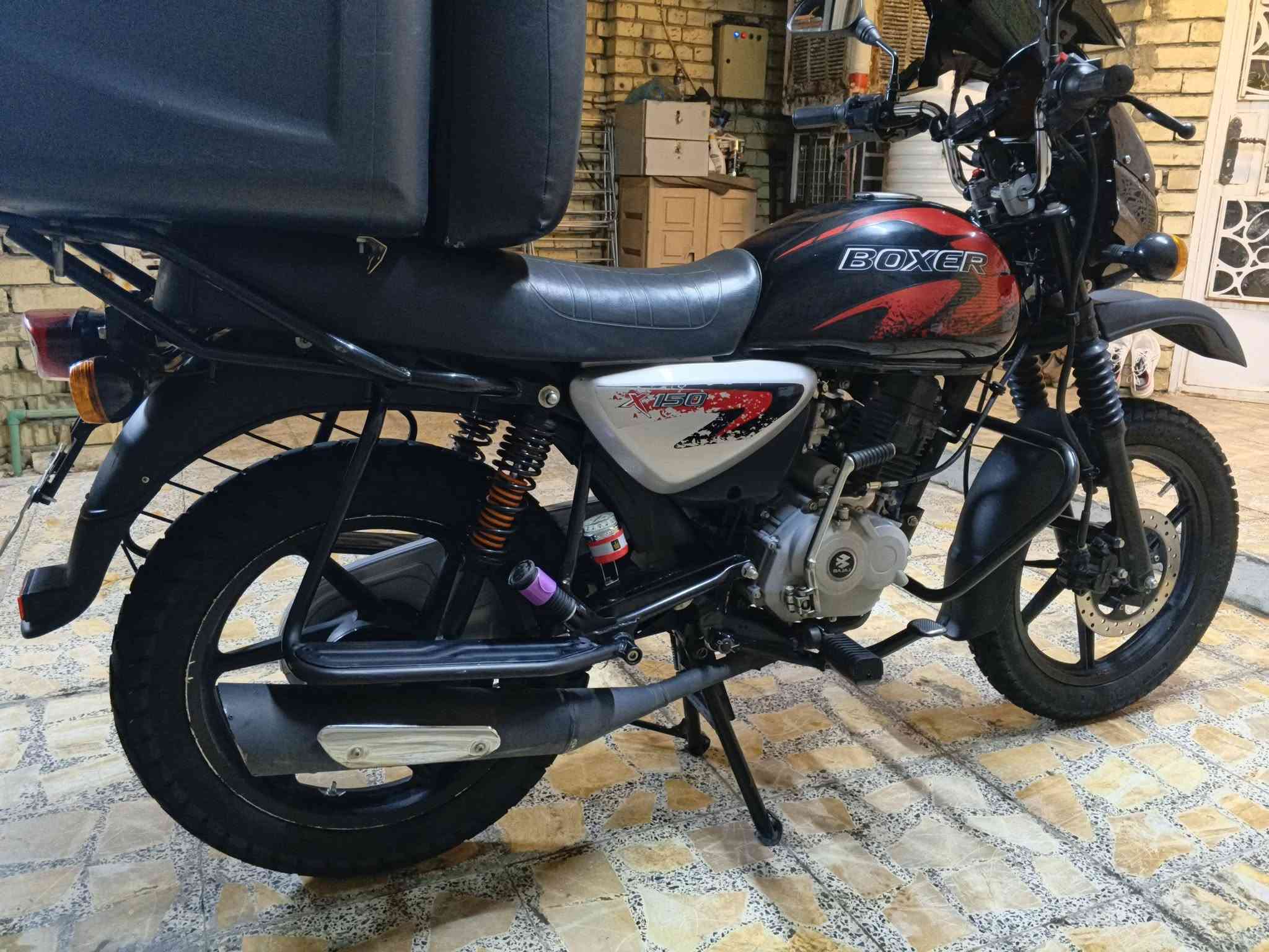 بوكسر جبلي • ٢٠٢٥ • كفاله