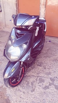 سكنس فحل • مفتوحة • زنجيل