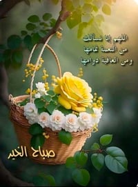 تنظيف • صبغ بيوت • كربلاء طوريج
